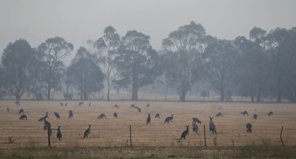 Ο μεγάλος αγώνας για να επουλώσει η Αυστραλία τις “πληγές” της- Το συγκινητικό μήνυμα του Αρχιεπισκόπου προς τους πιστούς