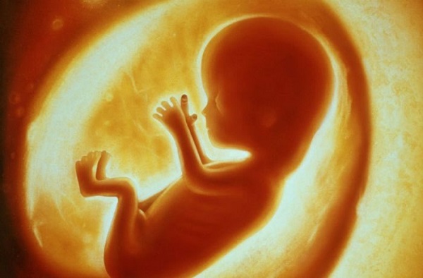 Για το αθώο πλάσμα που χάνει τη ζωή του πριν δει τον ήλιο