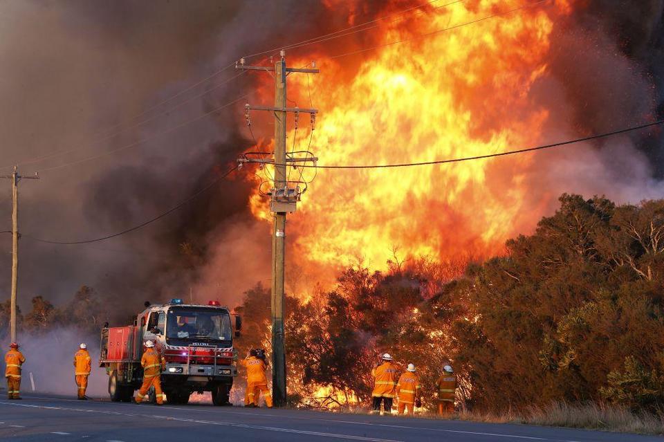 Τεράστια οικολογική καταστροφή έχουν προκαλέσει οι πυρκαγιές στην Αυστραλία – Μεγάλη κινητοποίηση από την Αρχιεπισκοπή