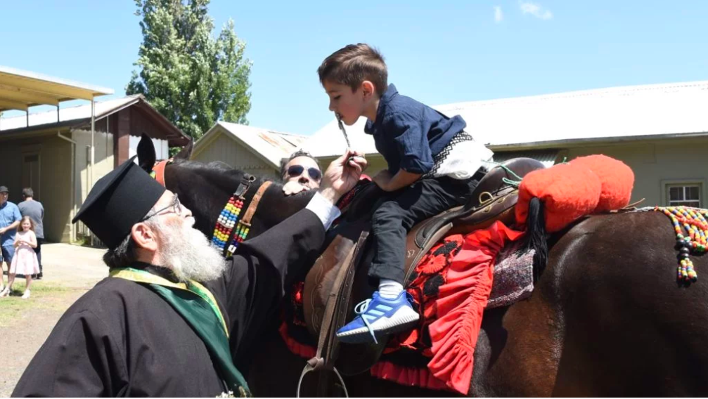 Agios Haralambos bull fiesta tradition revived in Melbourne