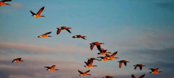 Συνάντηση νέων της Αρχιεπισκοπής Αθηνών στην “Παναγία Σουμελά”