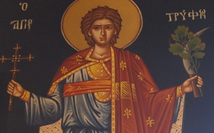 Άγιος Τρύφων ο προστάτης των αμπελουργών