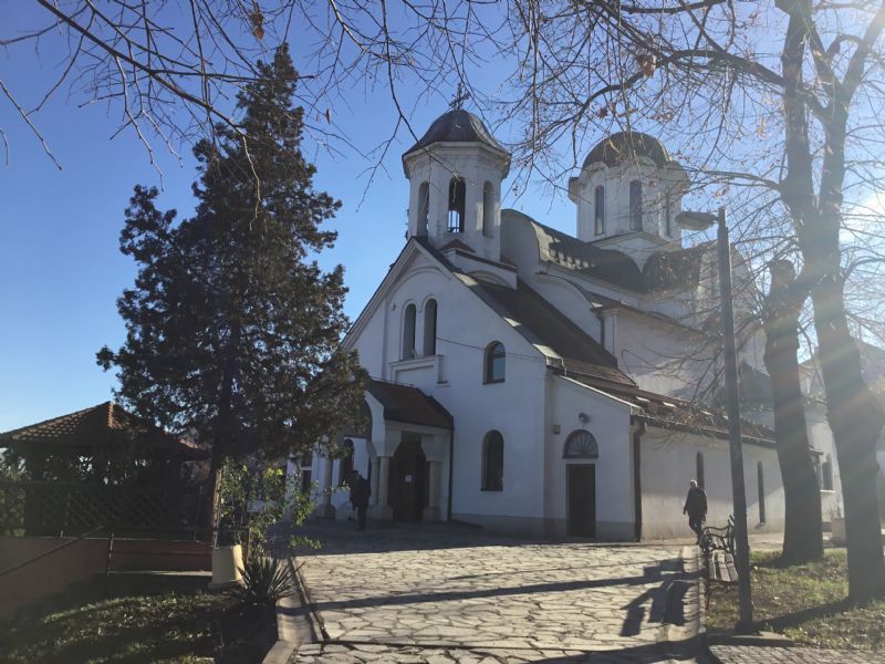 Освештане врбове гране у храму Светог Николе