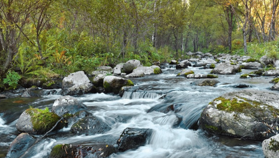 Following Live Streaming and Finding the Streams of Living Water