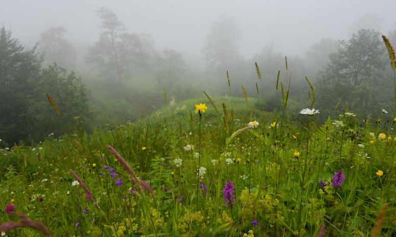 Κάποτε στον Πόντο: “Απρίλτ’ς ο άστατος”