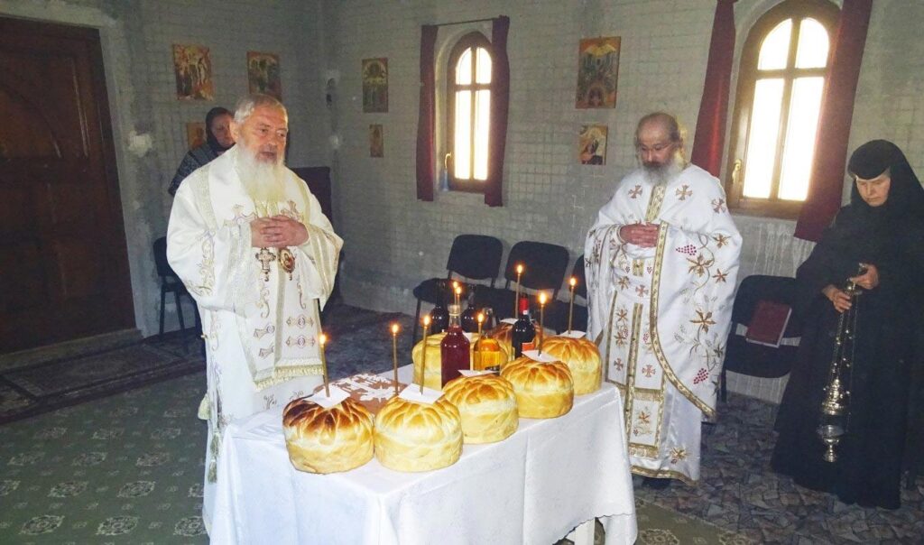 „Îl rugăm pe Domnul Hristos, Biruitorul morții, să-i tămăduiască pe cei bolnavi”