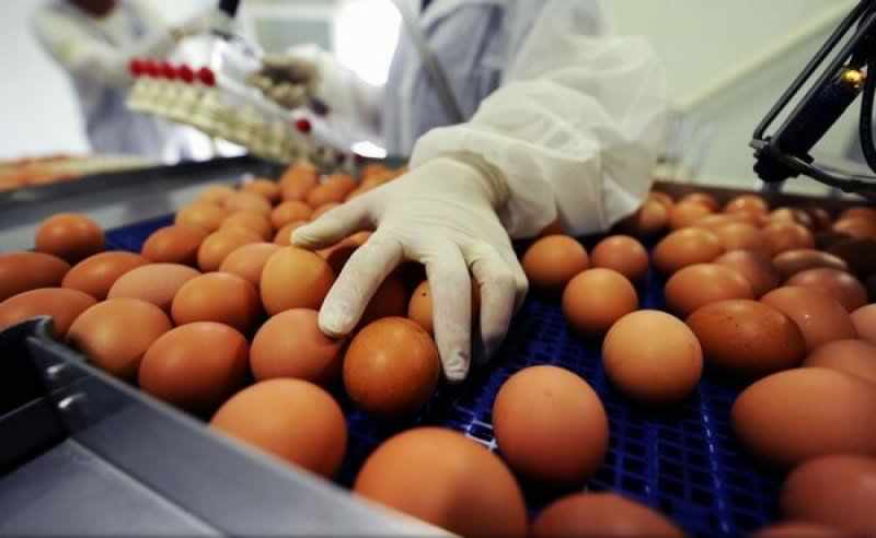 Mitropolia Banatului, prin „Gustul Binefacerii”: Peste 10.000 de ouă către instituții cu activități sociale