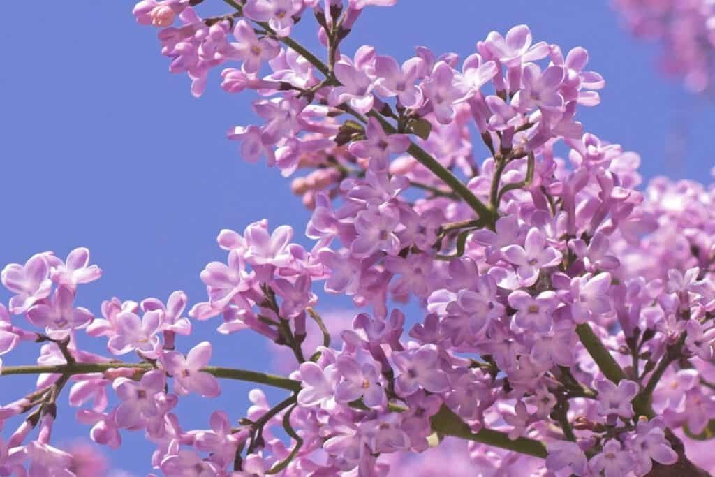 Εννέα ερωτο-απαντήσεις για το τριήμερο