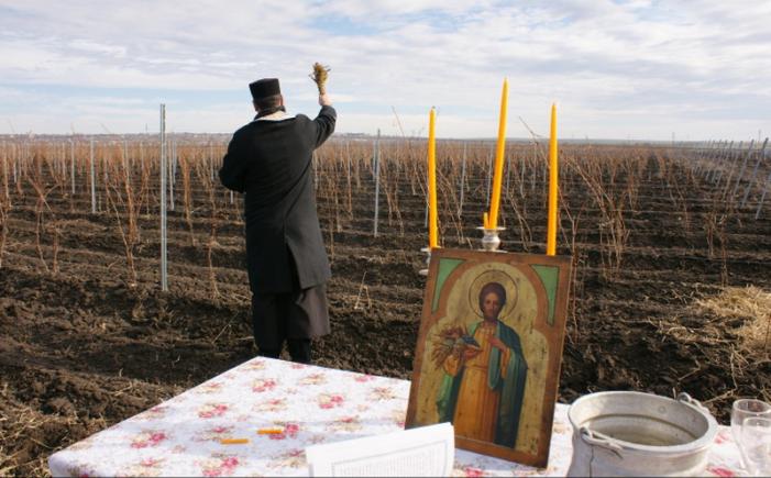 Îndemn la rugăciune pentru plaoie și izbăvire de secetă, pentru clericii și credincioșii Mitropoliei Basarabiei. CIRCULARĂ