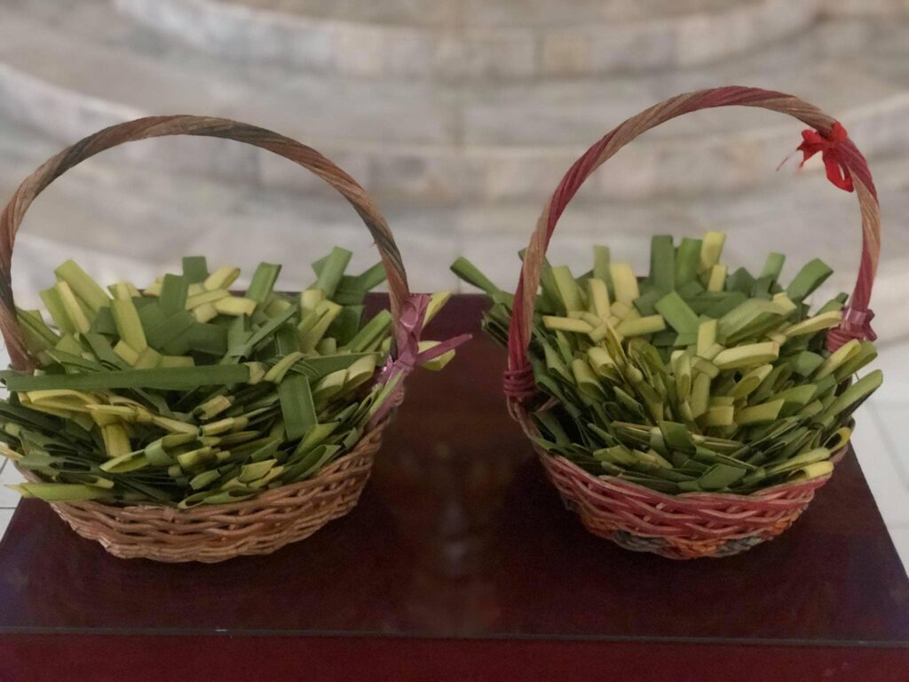 ΣΤΙΓΜΙΟΤΥΠΟ “ΟΡΘΟΔΟΞΙΑ”: Βάγια στις Φιλιππίνες