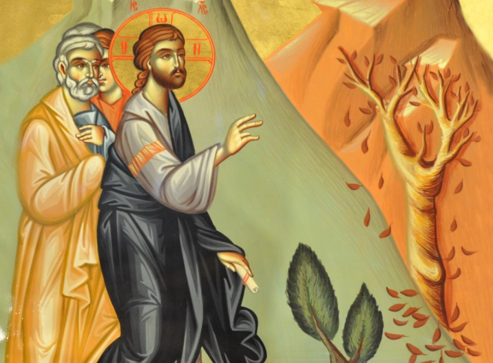 Η Μεγάλη Δευτέρα και η “ξηρανθείσα συκή”