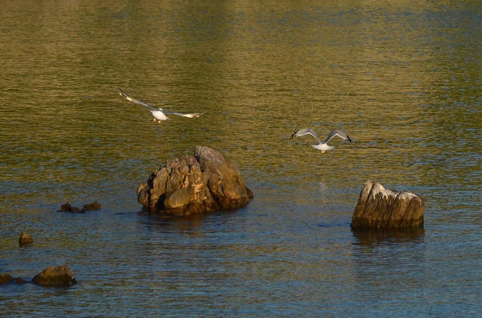 Κυκλοφόρησε το “Εισοδικό” της Εβδομάδας