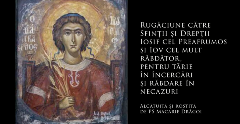 ASTĂZI ÎL PRĂZNUIM PE SFÂNTUL ȘI DREPTUL IOV, MULT RĂBDĂTORUL – Rugăciune către Sfinții și Drepții Iosif cel Preafrumos și Iov cel mult răbdător, pentru tărie în încercări și răbdare în necazuri (a Episcopului Macarie Drăgoi)