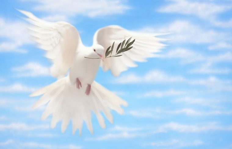 Udhëzime shpirtërore për të rinj – “Frytet e Shpirtit të Shenjtë” – Urania Mandro, Katekiste pranë KOASH