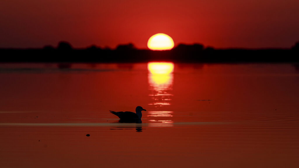 5 June – World Environment Day