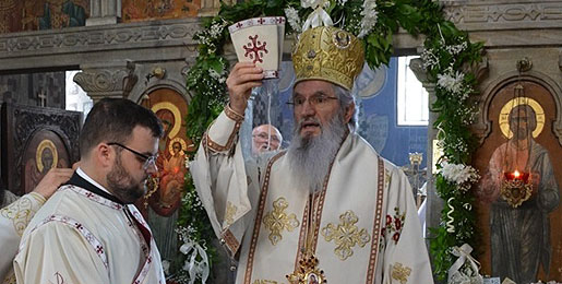 Слава храма и рукоположење у Опарићу