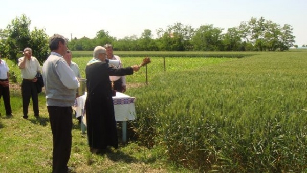 IPS Ioan cheamă la rugăciune pentru natură: Seceta trebuie înțeleasă ca un îndemn la credință și milostivire față de săraci