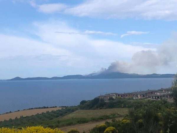 ΑΓΙΟΝ ΟΡΟΣ: Προσπάθειες να τεθεί υπό έλεγχο η πυρκαγιά