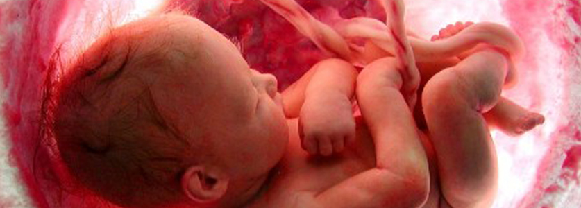 Μεγάλη έκθεση για την πρόληψη των εκτρώσεων στις ΗΠΑ