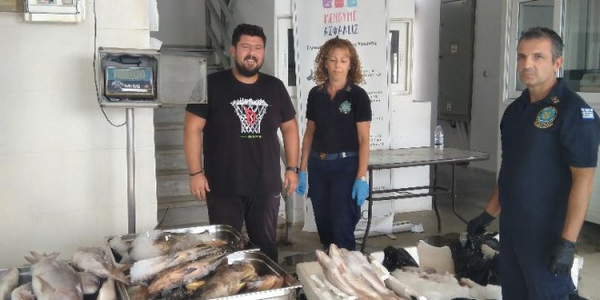 158,600 κιλά διαφόρων ψαριών προσφορά στα Συσσίτια