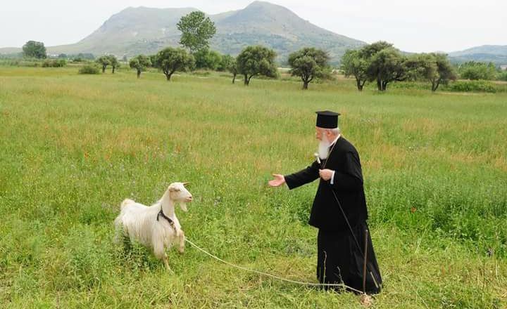 Patriarhul Ecumenic, mesaj de 1 septembrie: Respectul pentru mediu este o slăvire practică a numelui lui Dumnezeu