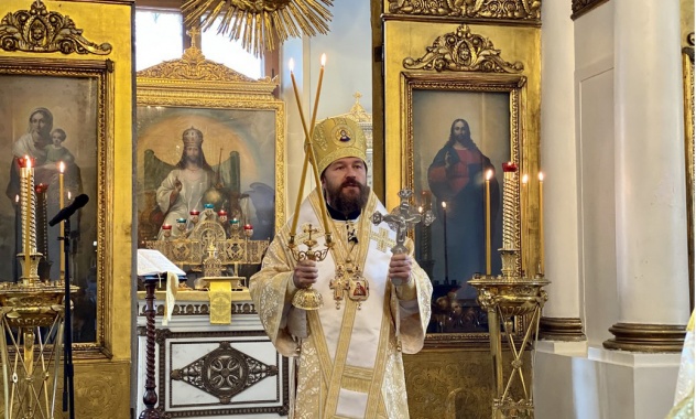 Митрополит Иларион: Не можемо остати равнодушни према тако тужним чињеницама