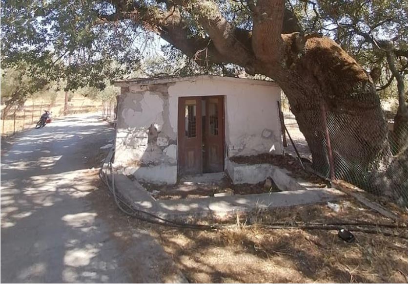 Вандалы не оставляют в покое Морию