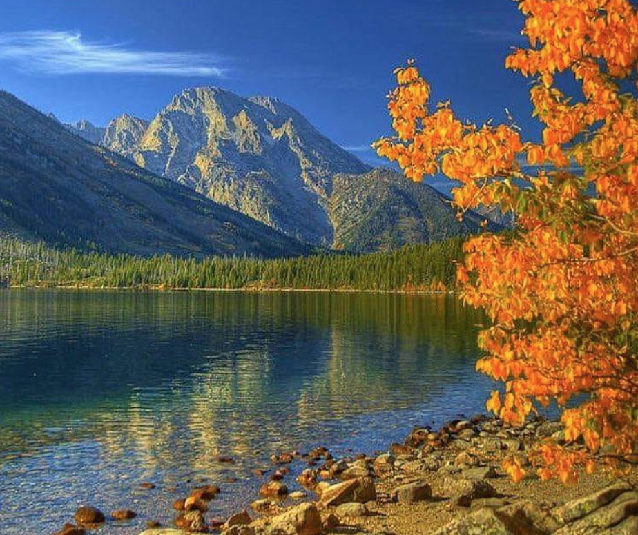 Shko në të thella…