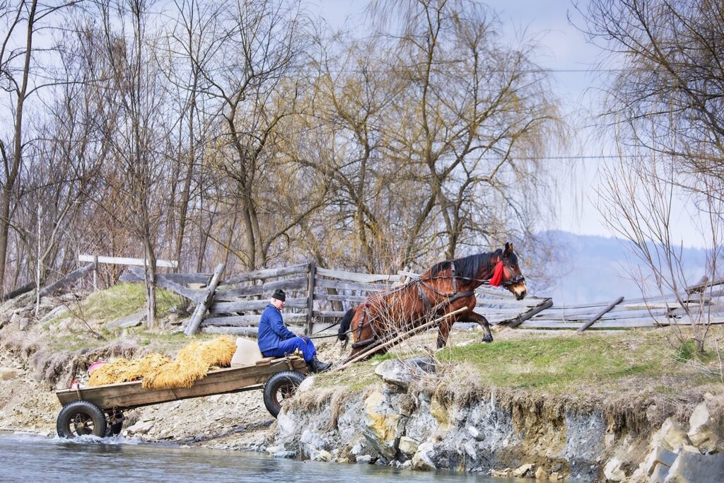 Sărbătorim pentru prima dată Ziua Satului Românesc