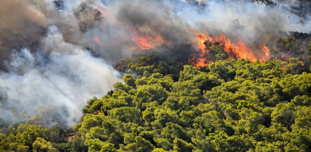 Πεντέλη: Φωτιά κοντά στην Ι.Μ. Παντοκράτορα