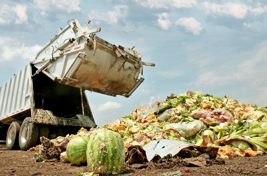 Στα σκουπίδια 1,3 δισ. τόνοι φαγητού το χρόνο