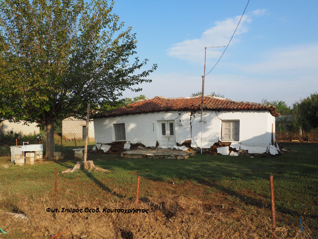 ΚΑΡΔΙΤΣΑ: Ένας σκύλος επέλεξε να μείνει με τα πρόβατα και να θυσιαστεί