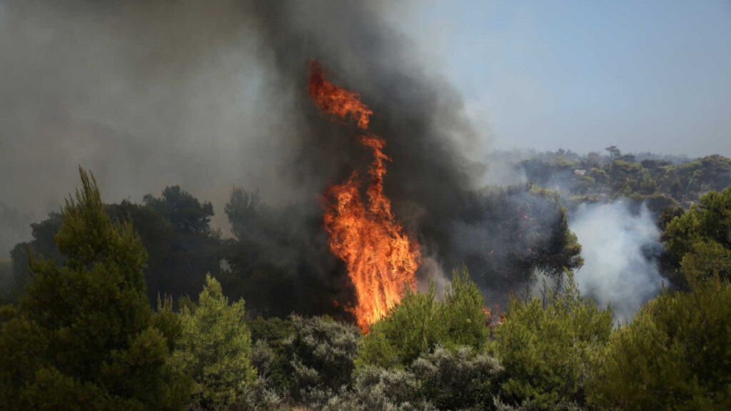 Πυρκαγιές σε Μεσσηνία, Αμαλιάδα και Άνδρο