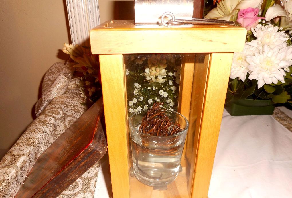 Το λουλούδι της Παναγίας ανθίζει στα Δελλαπορτάτα Παλλικής