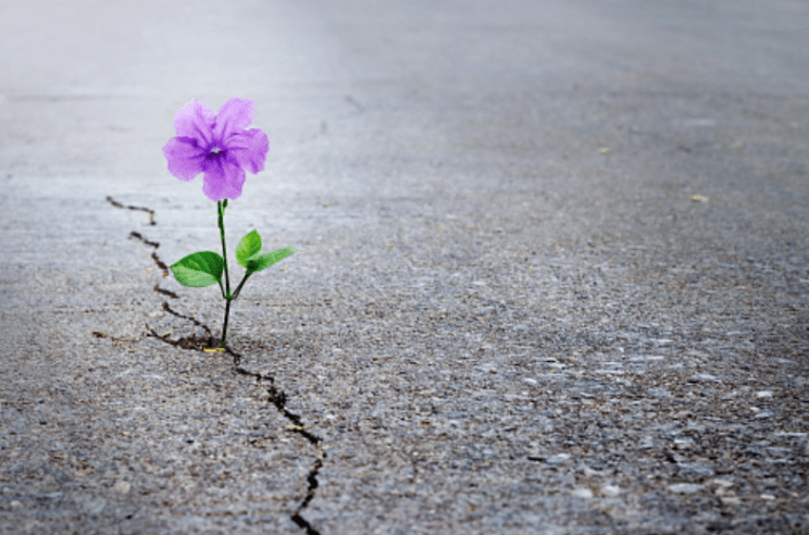 Τίποτε στη ζωή μας δεν είναι τυχαίο