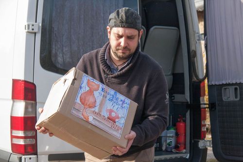 Прихожане костромских храмов собрали помощь брошенным животным
