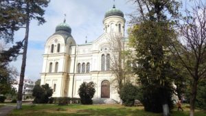 Икона на свети Мина за катедралния храм посрещат във Видин