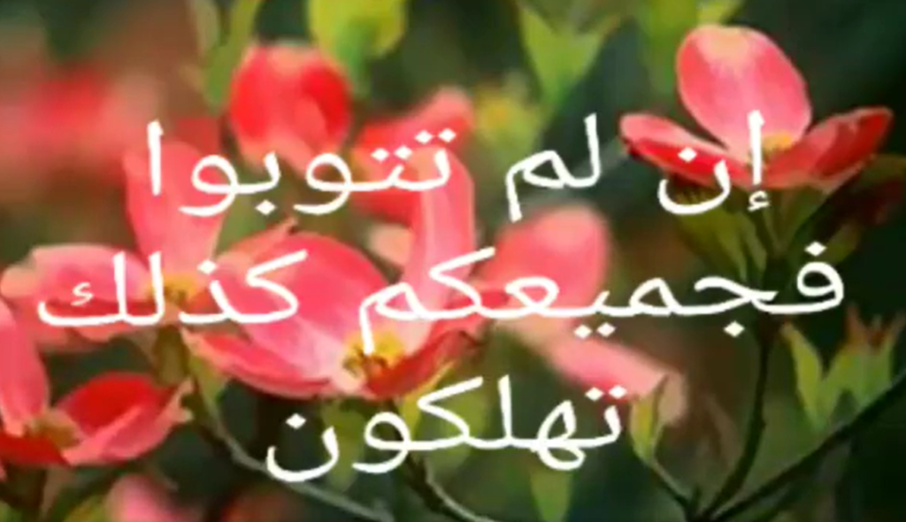 من وحي نص الإنجيل الليتورجي مع راعي الأبرشية