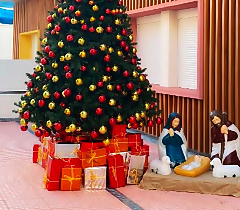 Η ΦΩΤΟΓΡΑΦΙΑ ΤΗΣ ΗΜΕΡΑΣ: Στόλισαν οι Βρεφονηπιακοί