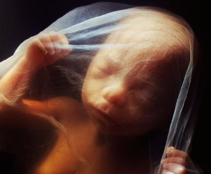 Πραγματική φωτογράφηση του ανθρώπινου εμβρύου (Lennart Nilsson)