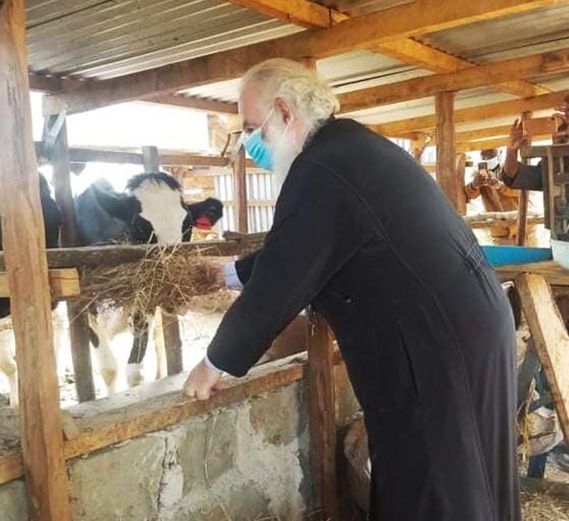 ΣΤΙΓΜΙΟΤΥΠΟ “ΟΡΘΟΔΟΞΙΑ”: Ο Πατριάρχης ταΐζει και ευλογεί τα ζωντανά