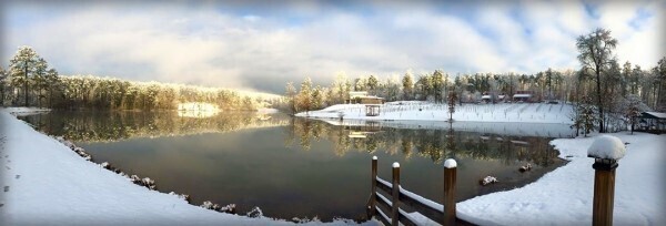 Please lend your support as DRC Guardian Angels