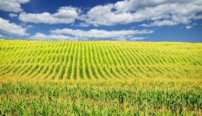 Ό,τι σπείρεις θα θερίσεις