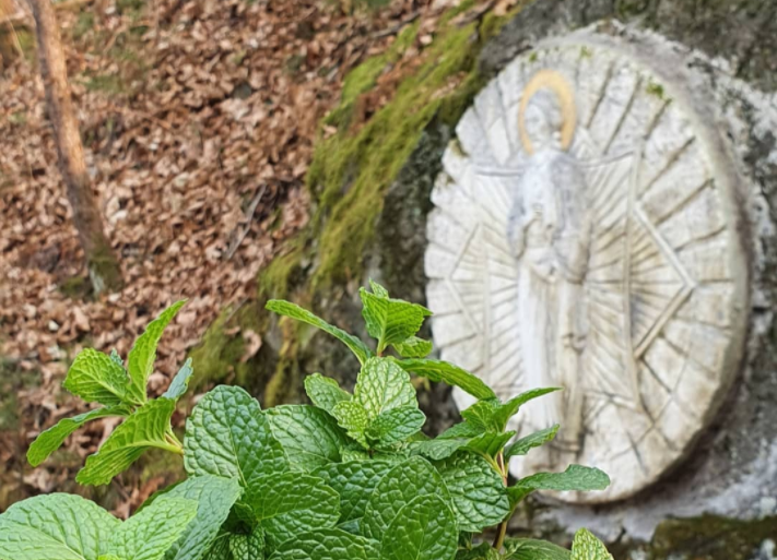 Visit of the Slavophones to the Holy Monastery of the Transfiguration of the Lord in Gapyong