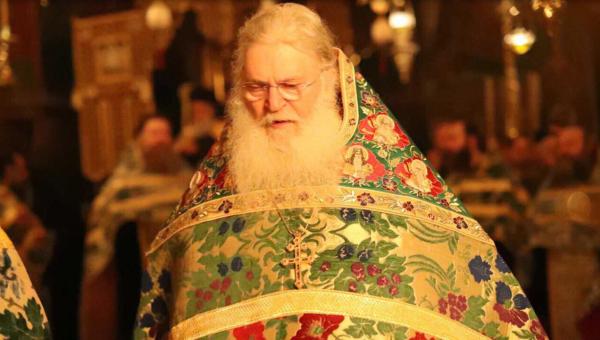 Старец Ефрем провел беседу с румынскими верующими (видео)
