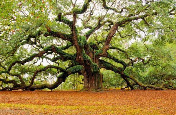 “Kush mund të përgënjeshtrojë të vërtetën e Zotit”?!