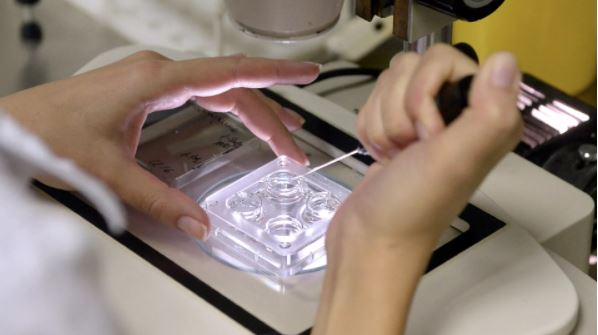 Η ρωσική εκκλησία για την αντιμετώπιση της εξωσωματικής γονιμοποίησης