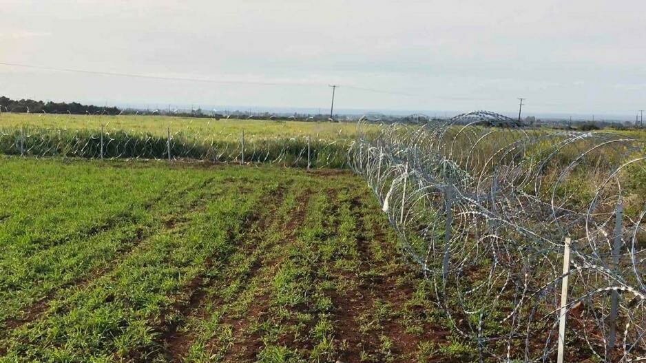 Κύπρος: Συρματόπλεγμα κατά μήκος της Πράσινης Γραμμής