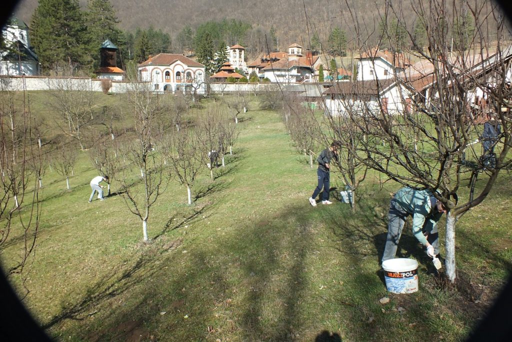 Мобе у Бебића Луци и манастиру Ћелије