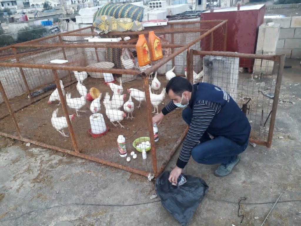 توزيع الدجاج البيّاض على 200 عائلة فقيرة في درعا